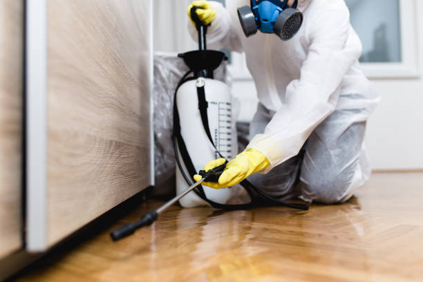 Best Affordable Pest Control Services  in Pampa, TX