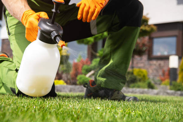 Best Pest Control Near Me  in Pampa, TX