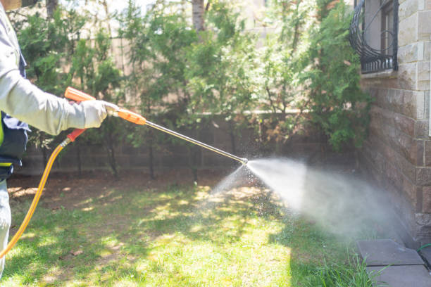 Best Local Pest Control Services  in Pampa, TX