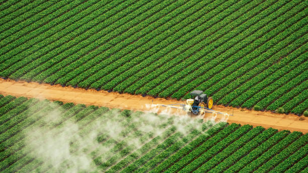 Best Best Pest Control Companies  in Pampa, TX