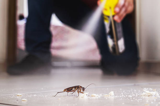 Reliable Pampa, TX Pest Control Solutions