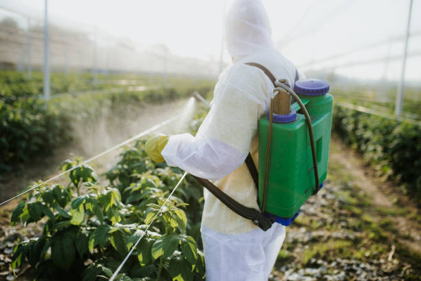 Best Best Pest Control Near Me  in Pampa, TX